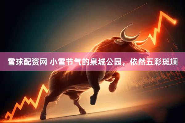 雪球配资网 小雪节气的泉城公园，依然五彩斑斓